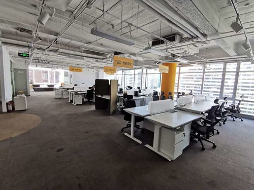 平舆房屋出租，如何轻松找到理想的家