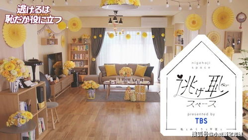 平舆房屋出租，如何轻松找到理想的家