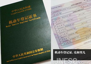 全面指南，办理结婚证所需证件及流程详解