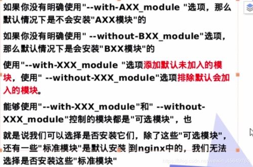 深入解析，法律适用的基本原则及其实践意义