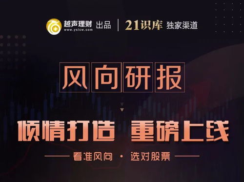 投资新风向，解锁可转换公司债的财富密码