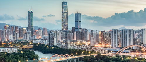 深圳小产权房，城市发展中的灰色地带与未来展望