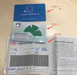 衡阳社保查询，全面指南与实用技巧