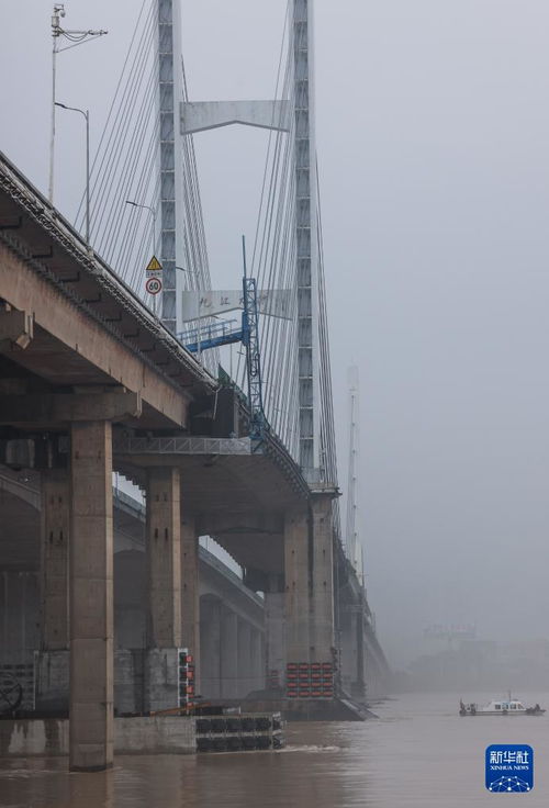 九江大桥坍塌事件，原因、影响及桥梁安全的未来