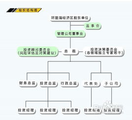 深入解析，企业经营范围查询的步骤、技巧与重要性