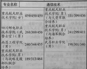 掌握回执单格式，专业与效率的桥梁