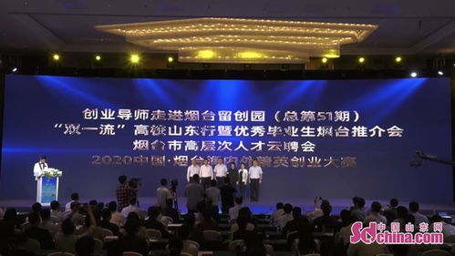 深圳市高层次人才，创新驱动下的精英汇聚