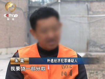 张大伟的归途，从海外逃亡到回国自首的心路历程