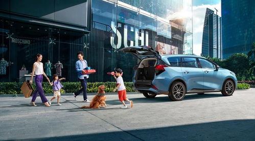 海南购车新政策，绿色出行的黄金机遇