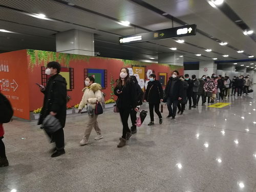 上海疫情最新动态，防控措施、生活影响与未来展望