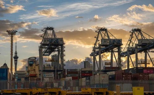 自由贸易区，全球经济的桥梁与纽带