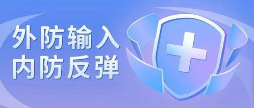新疆疫情最新动态，8月12日数据解读与防控措施分析