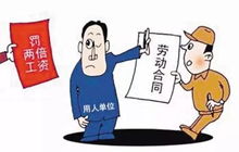 小明的试用期，职场新人的生存之道与成长启示