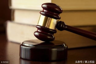 美国法律的守护，你的权利与生活