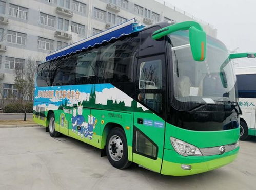 全国疫情最新动态，防控措施、疫苗接种与未来展望