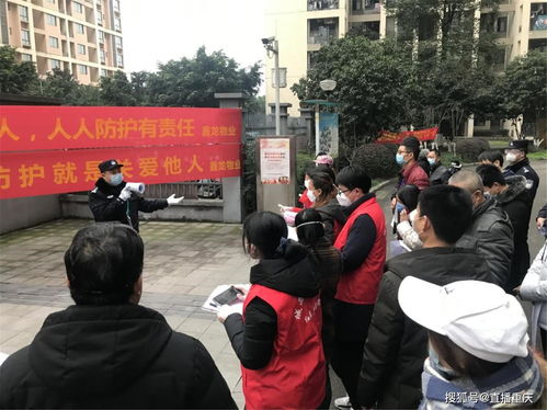 九龙坡区疫情动态，最新进展与防控措施