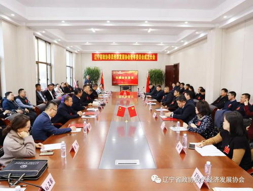 绥化市政府，服务民生，推动发展—东北振兴的新篇章