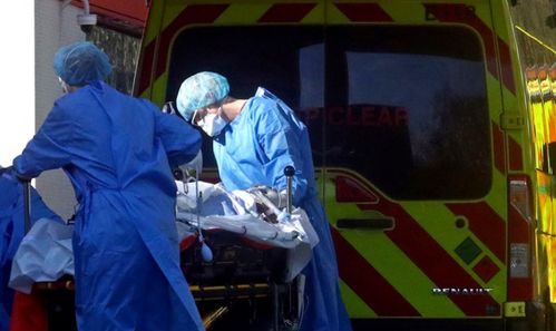 疫情下的谎言，一名男子因谎报疫情被拘留的警示故事