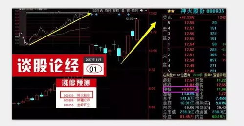 股市风云变幻，全面解析股票投资的风险与应对策略