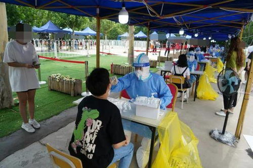 朝阳疫情最新报道，防控措施升级，市民生活秩序井然