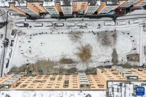 疫情动态，31省区市新增本土确诊48例，聚焦7省份的防控策略与个人防护