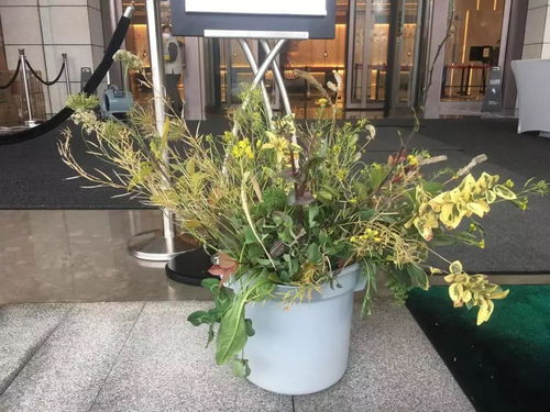 邢台抗疫前线，最新动态与生活指南