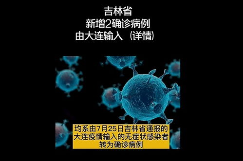 吉林新增2例大连输入病例，疫情动态与防控措施解析