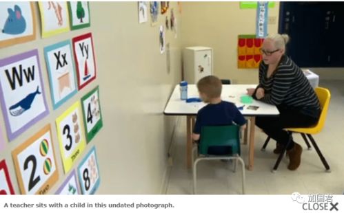 幼儿园监控，家长的安心之选