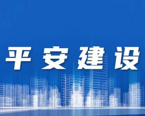 公共安全专家局，守护社会安宁的坚强盾牌