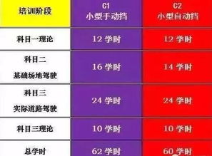 驾考新风向，全面解读2023年新驾照考试规定