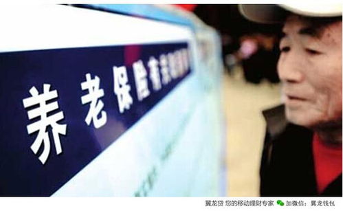 养老保险亏空，理解、影响与应对策略