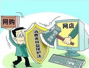 上海消费者权益保护，投诉电话背后的维权之路