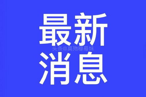 深圳疫情最新动态，昨日新增29例病例的分析与防控措施