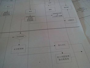 盈余公积提取比例，企业财务健康的保障与策略
