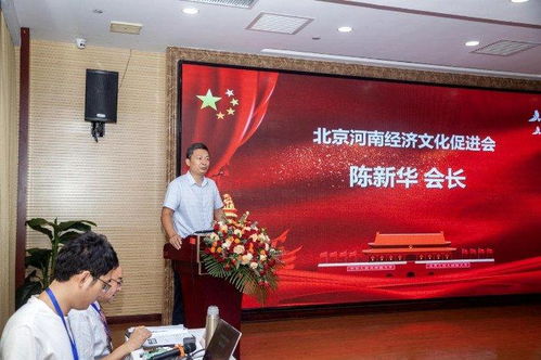 北京市朝阳区人事局，人才服务与职业发展的桥梁