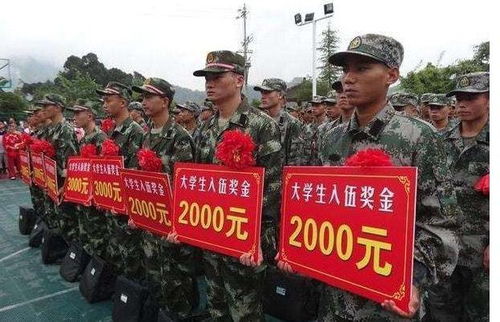 从校园到军营，大专生当兵的荣耀与挑战