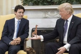 当总统遇上病毒，特朗普感染肺炎的启示