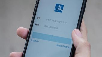 支付宝担保交易，电商信任的基石，安全交易的守护者