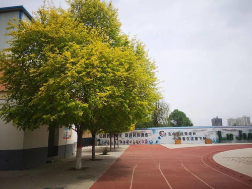 北京公租房，你的家，从这里开始