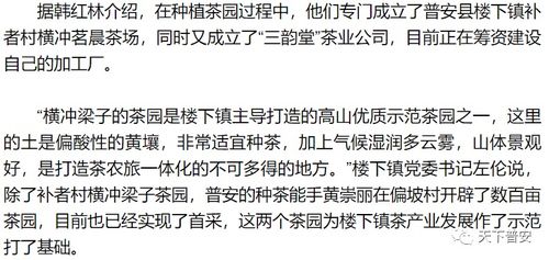 阳泉关建军，一位自媒体作者的自我探索之旅