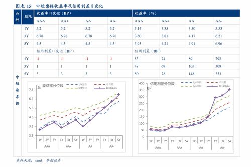 上海养老金上调，了解最新动态，保障您的退休生活