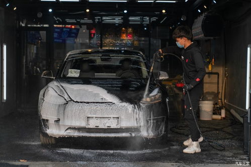 保定往事，揭秘黑社会的阴影与城市的光明