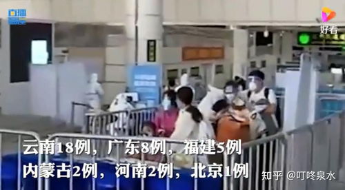 31省份新增确诊25例，疫情动态分析与防控策略更新