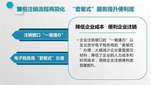 深入了解一般纳税人税率，政策、影响及优化策略
