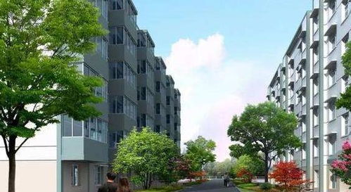 珠海斗门万科，疫情下的社区管理与居民生活