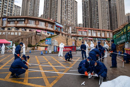 珠海斗门万科，疫情下的社区管理与居民生活