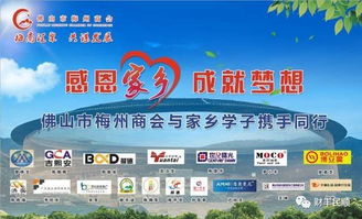 集资合作建房，共同打造梦想家园的实用指南