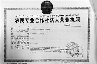 深入了解食品生产许可证查询，保障食品安全的第一步