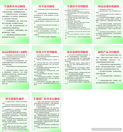 构建高效贸易公司，管理制度的精髓与实践