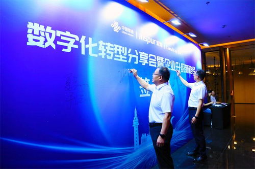 烟台地税网，数字化转型的税务服务新篇章